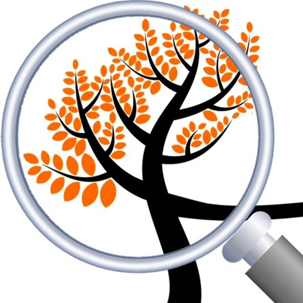 Tree Reveal
