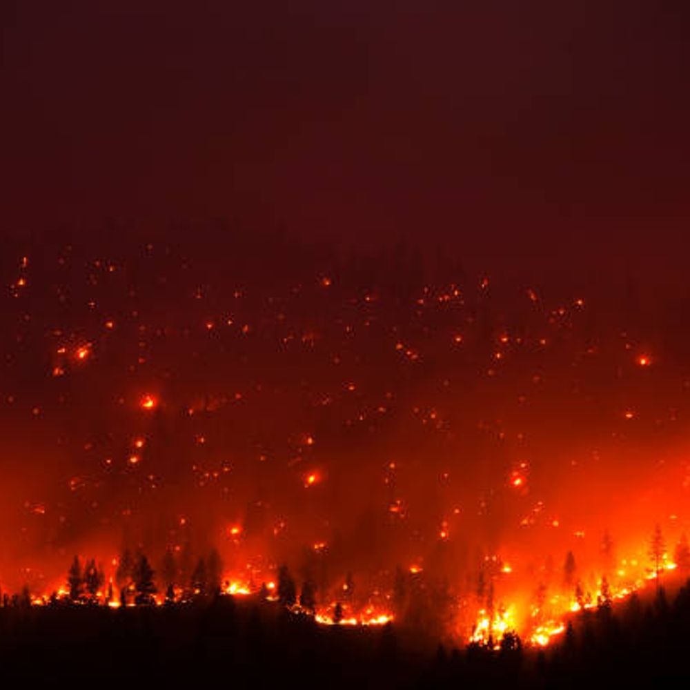 Brushfire MT