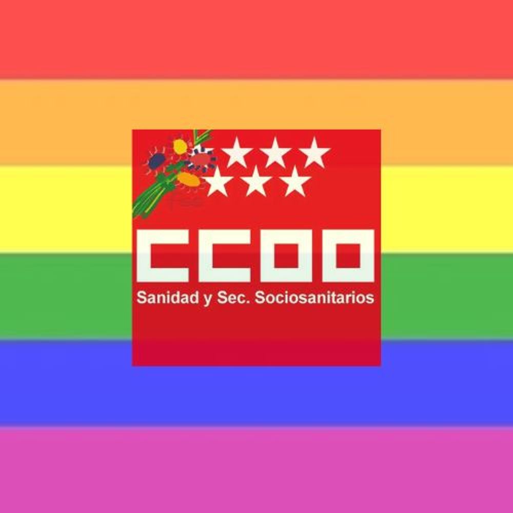 FSS-CCOO Madrid