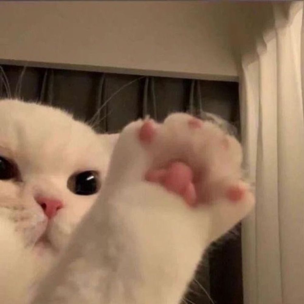 ㅇㄷ♥︎