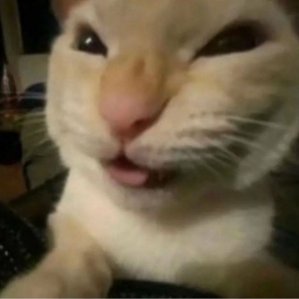 L.