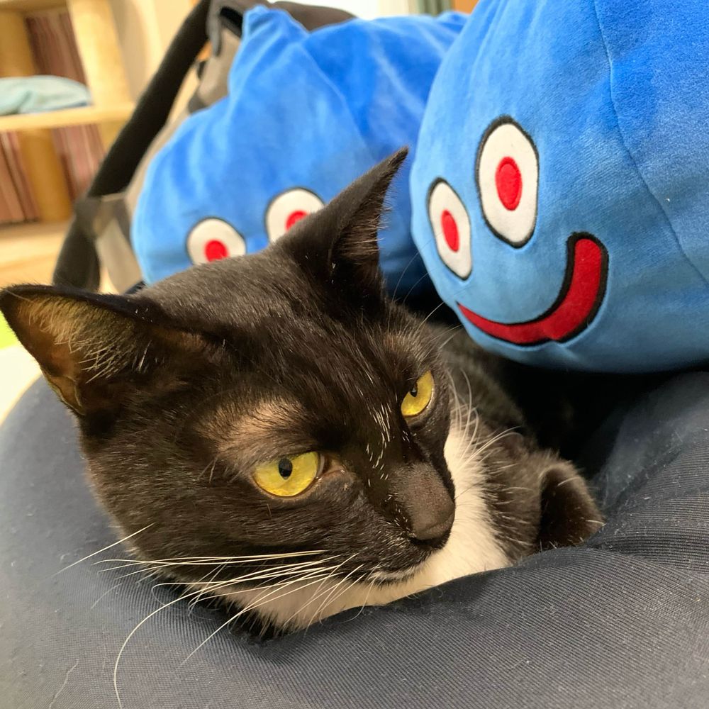 猫田シロ