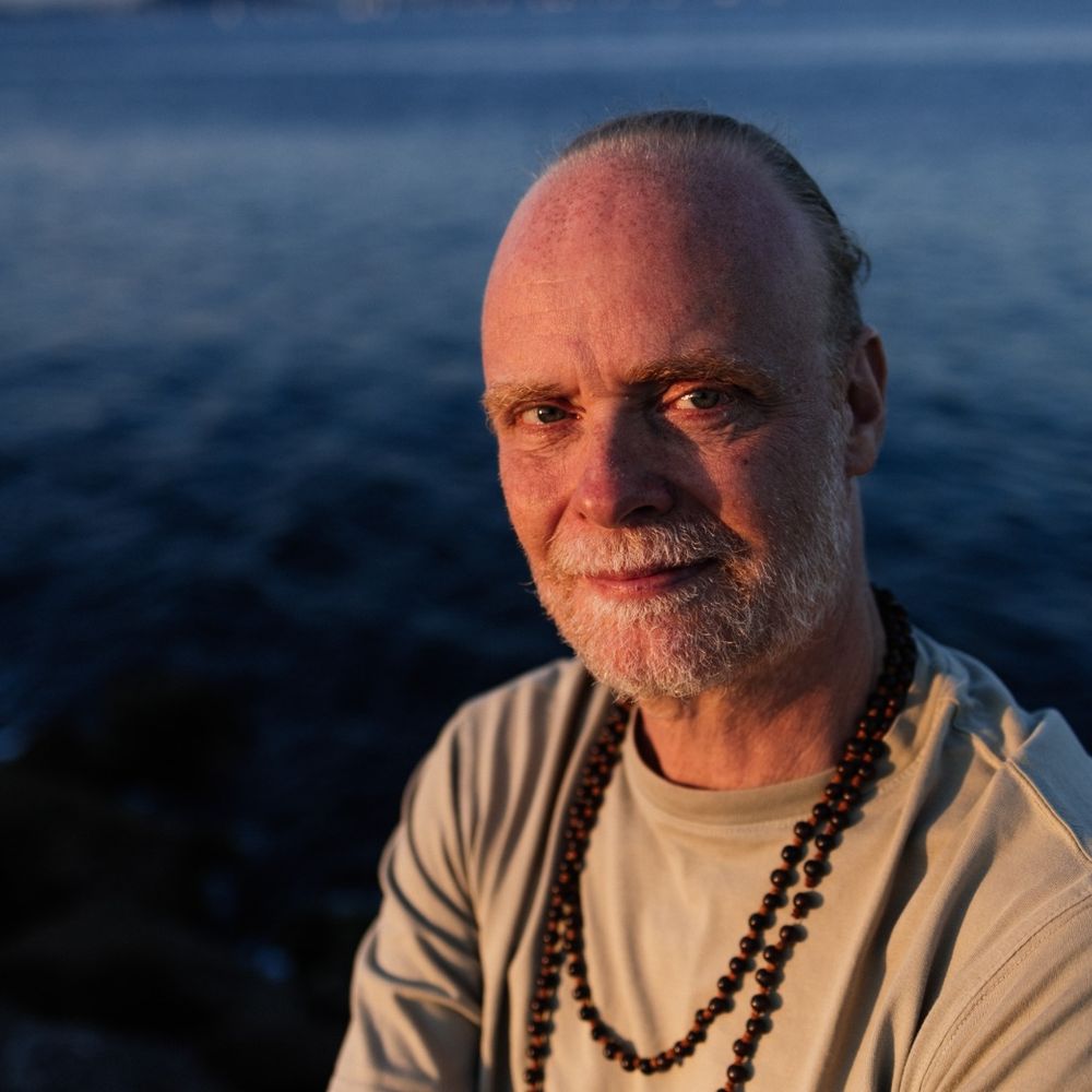 Henrik Brandão Jönsson