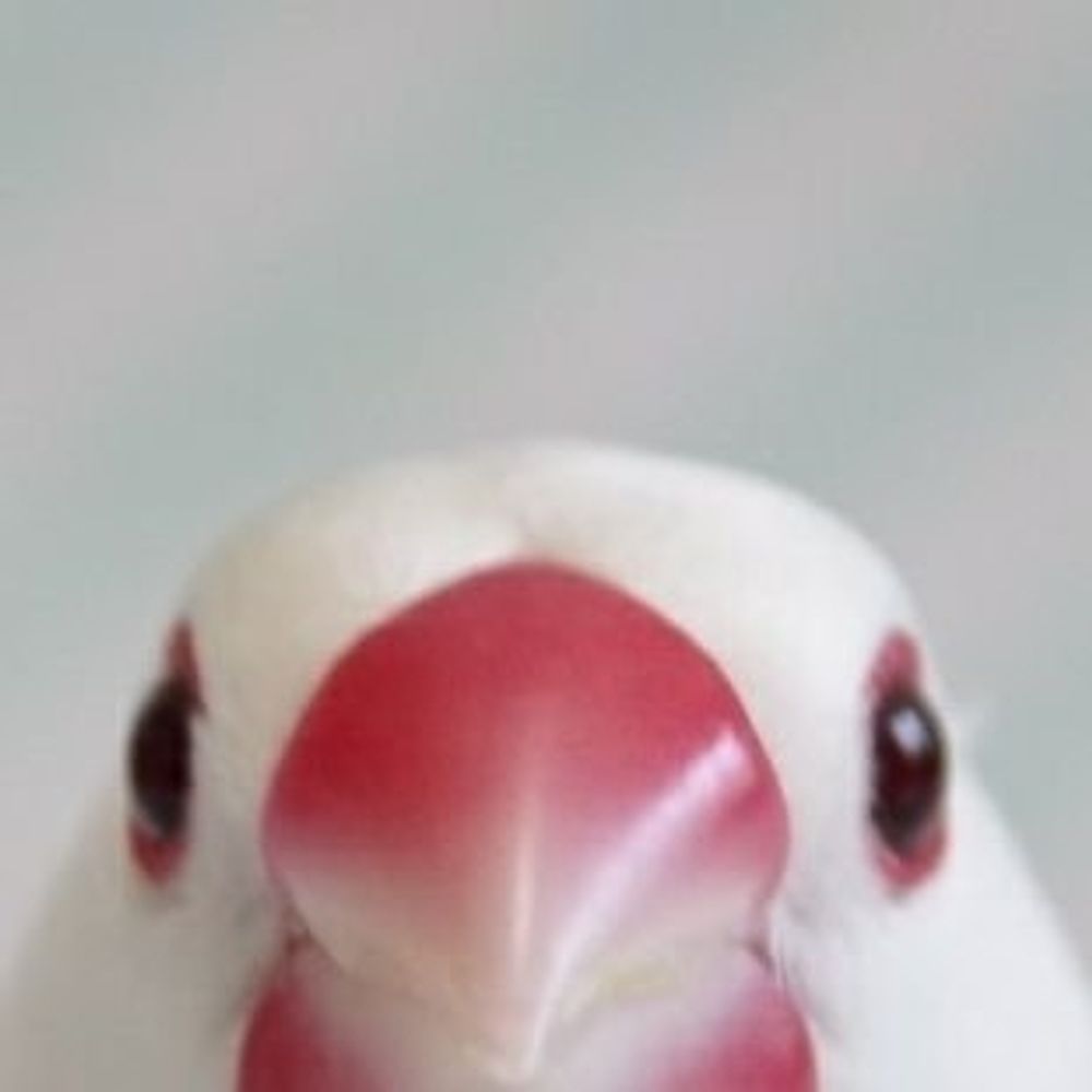 みう