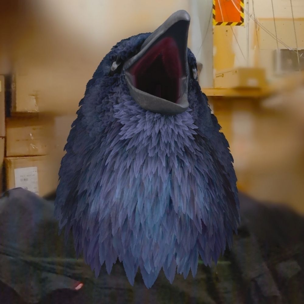 Dee