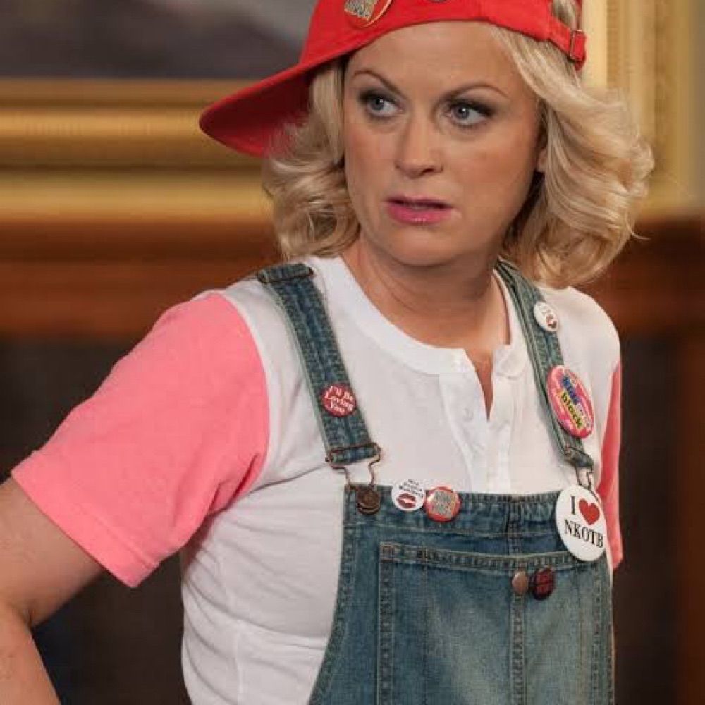 Leslie Knope da Lapa de baixo 