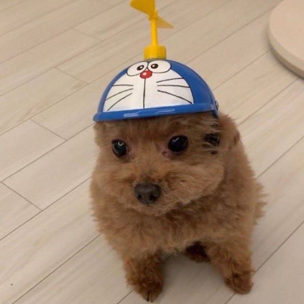 📼Apollo