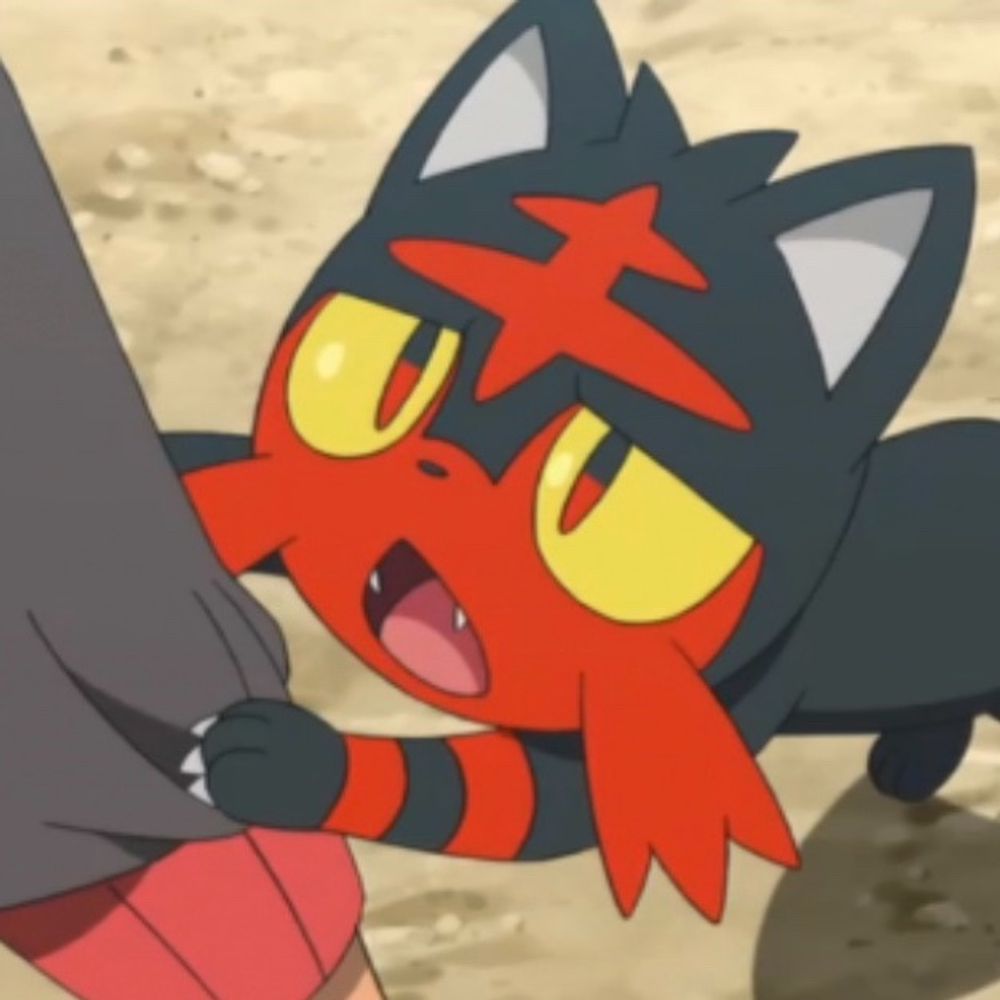 ねこの人