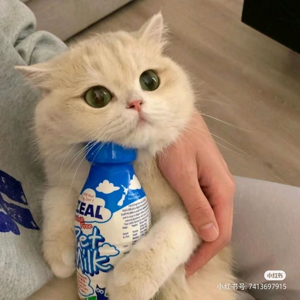 小黄油拿铁