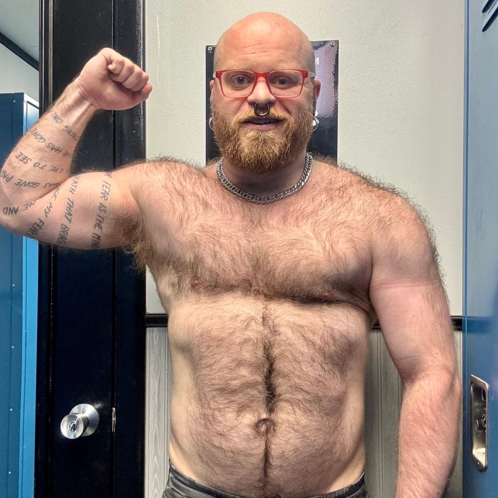 Ginger Bear