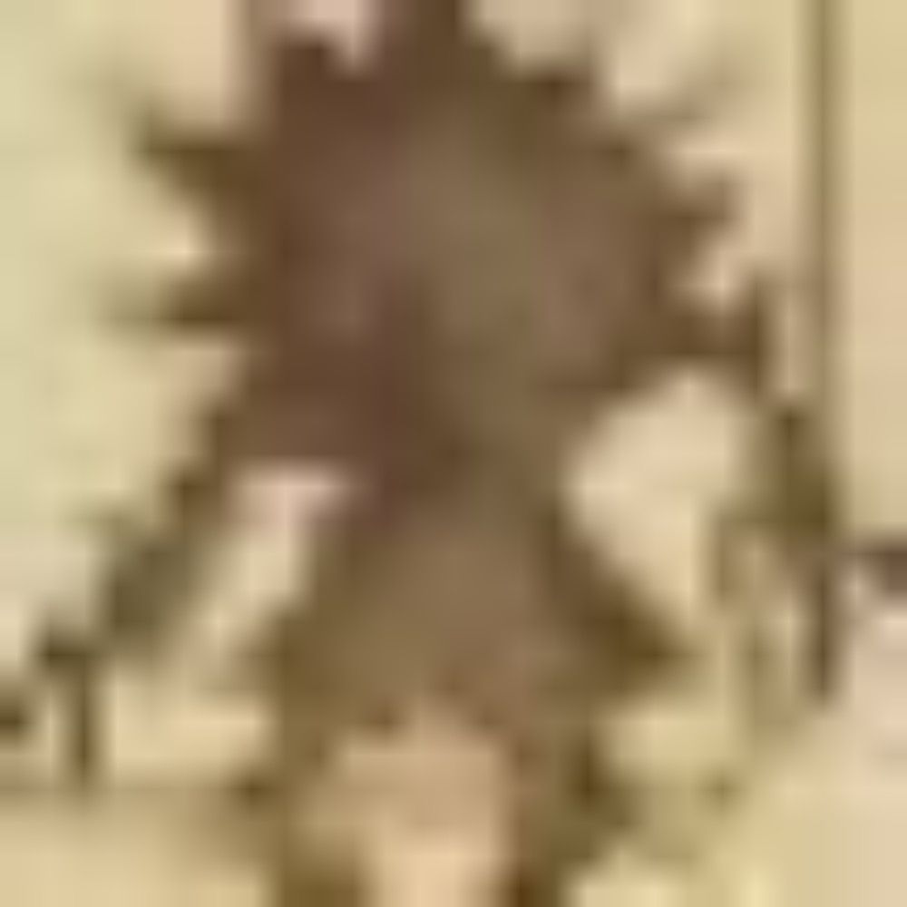 せきせつ