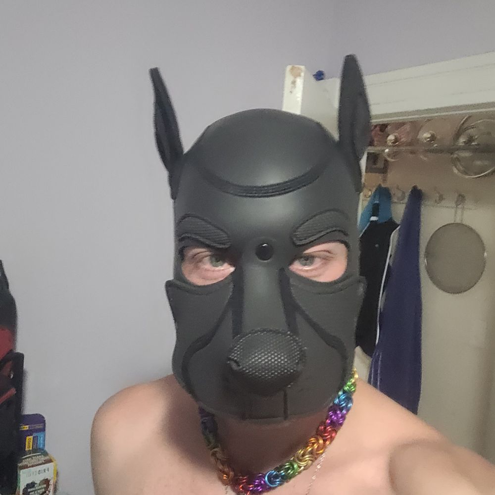 Pup Adter