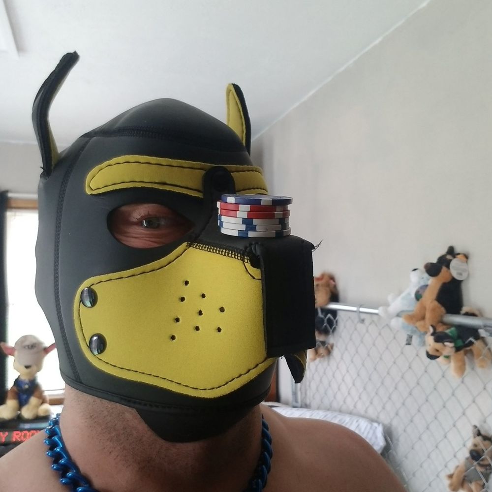 Pupgadget