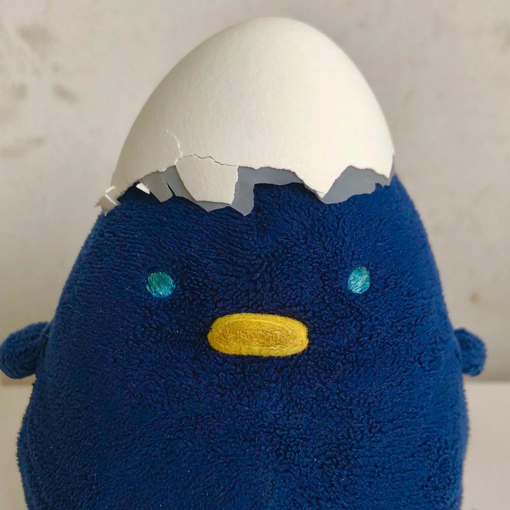 みしろ