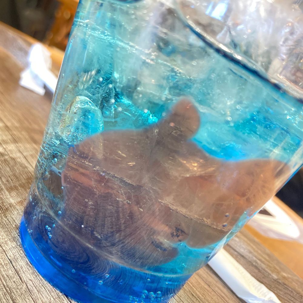 酒呑屋 心愛