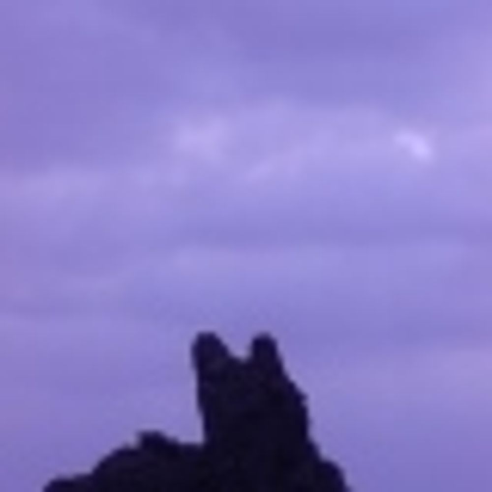 dunzhi
