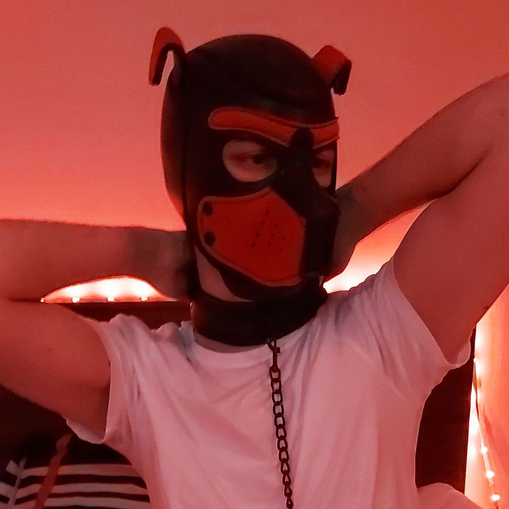 PupAlex