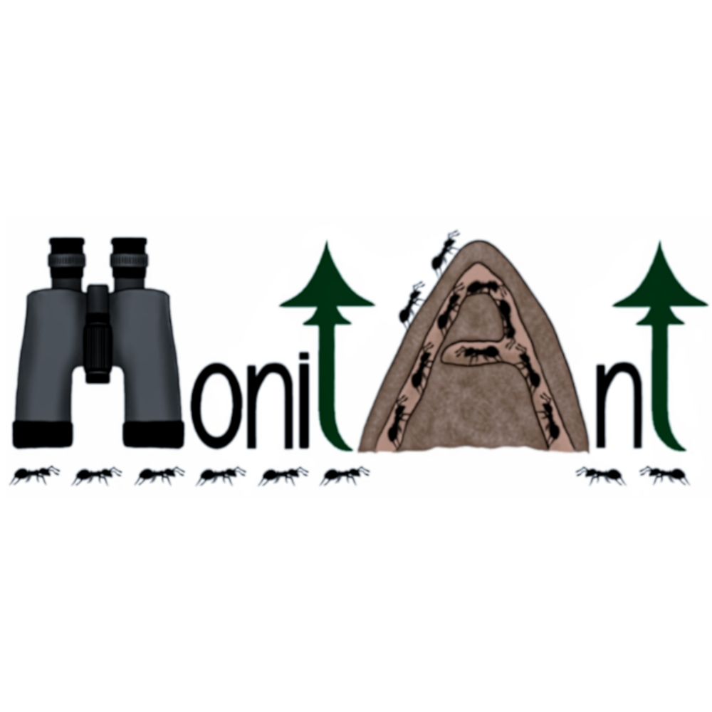 MonitAnt
