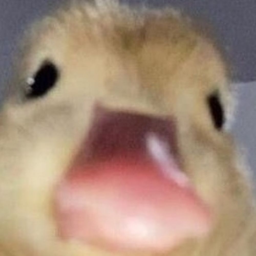 너오양