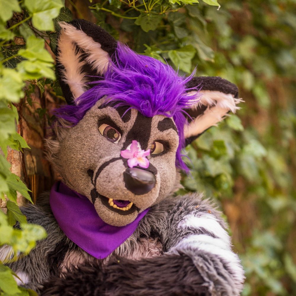 Furrite