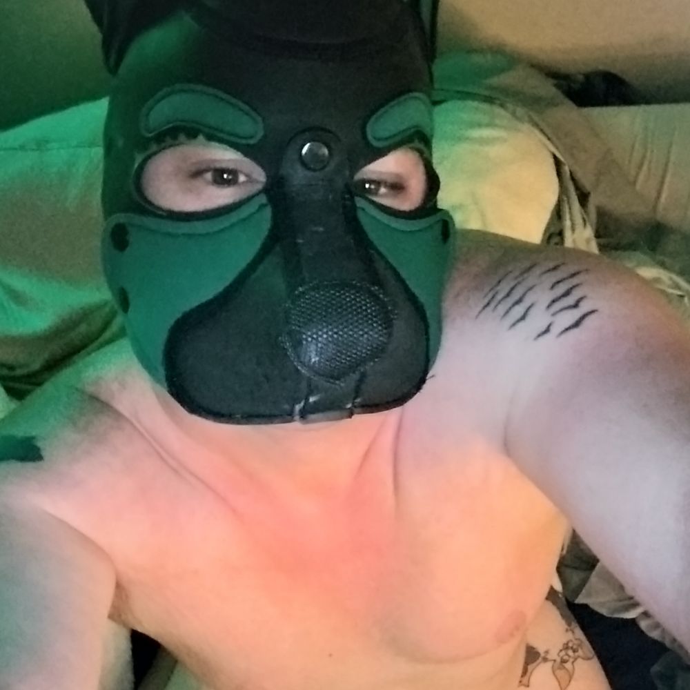 Puppy §¥mb∆L