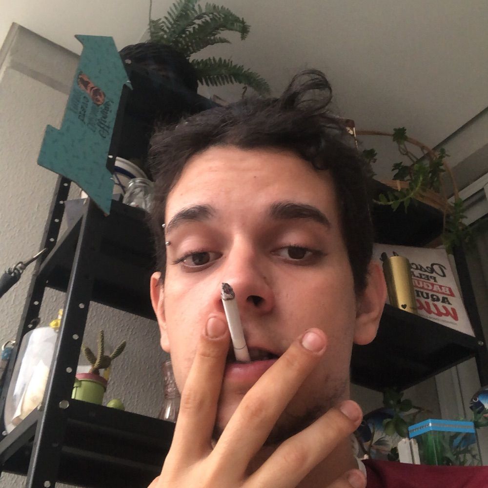 k-misinha invisível 