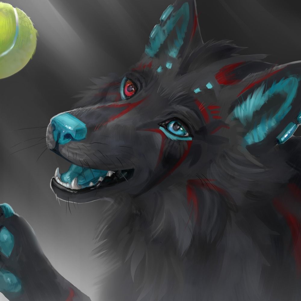 ArtaxderWolf