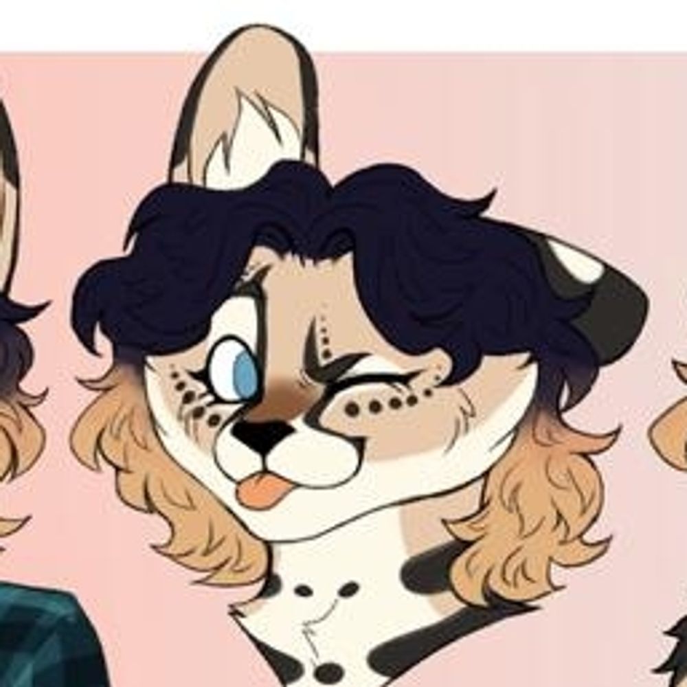 Sasha the Serval