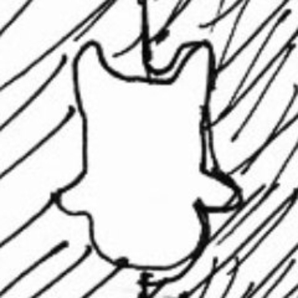 利休八