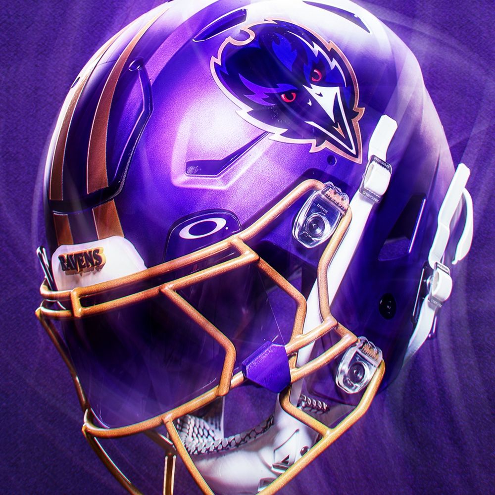 🏈🐦‍⬛Random (Floridian) Ravens Fan 🐦‍⬛🏈