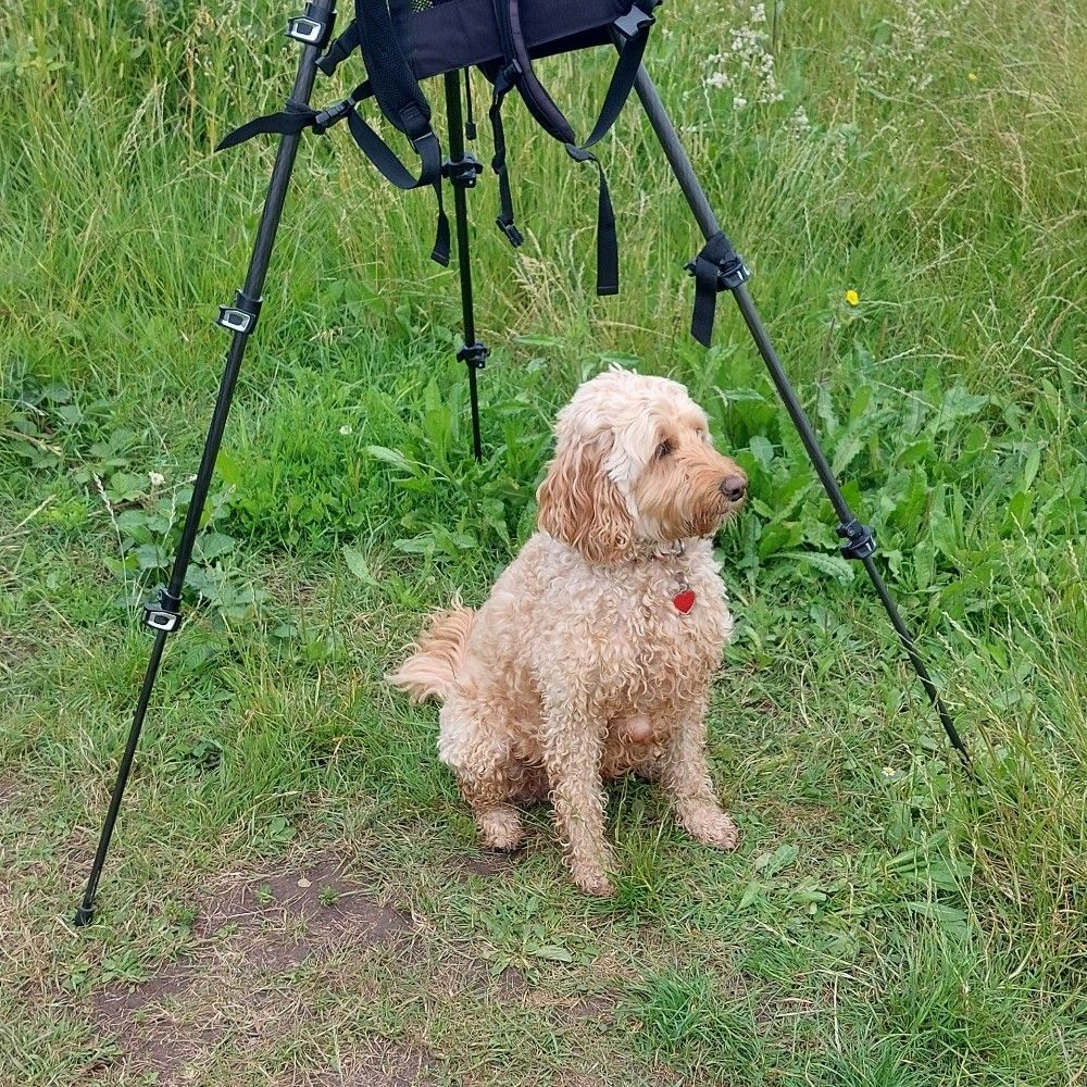 Birding_Arnie