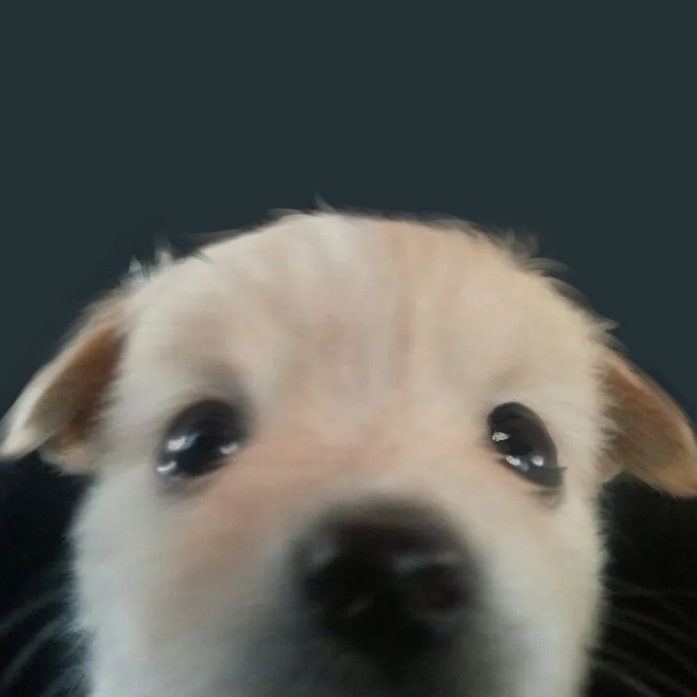 mac