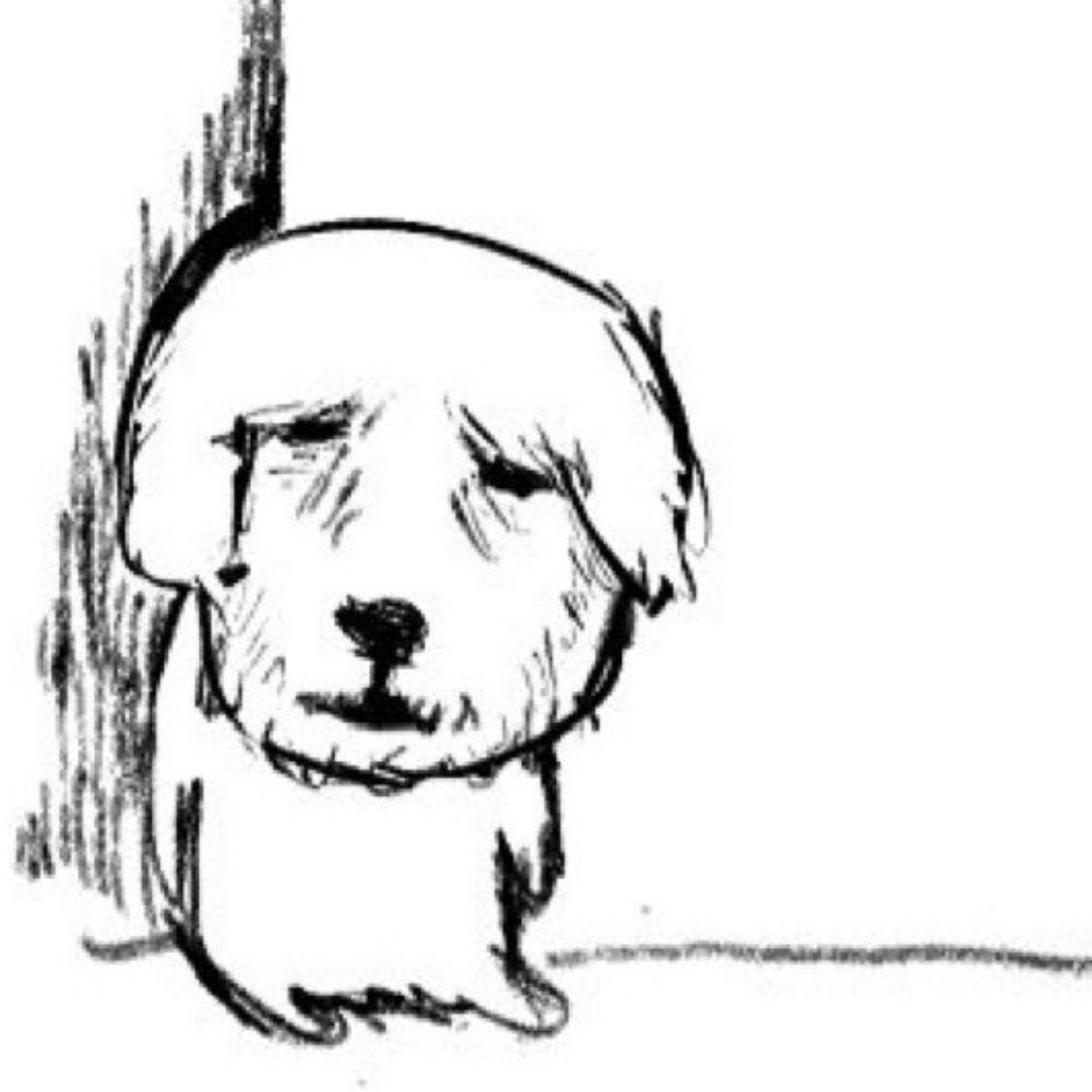 보리