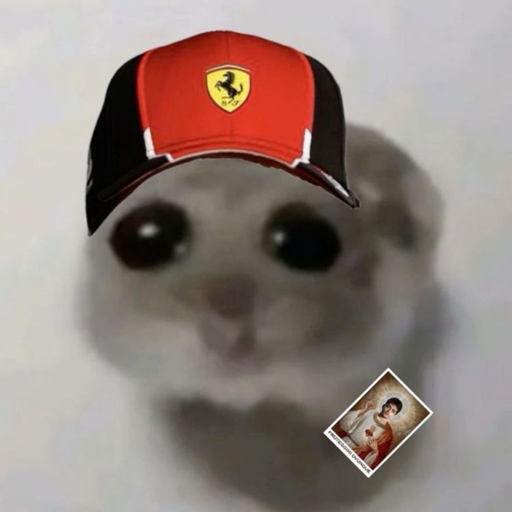 Gabi¹⁶ 