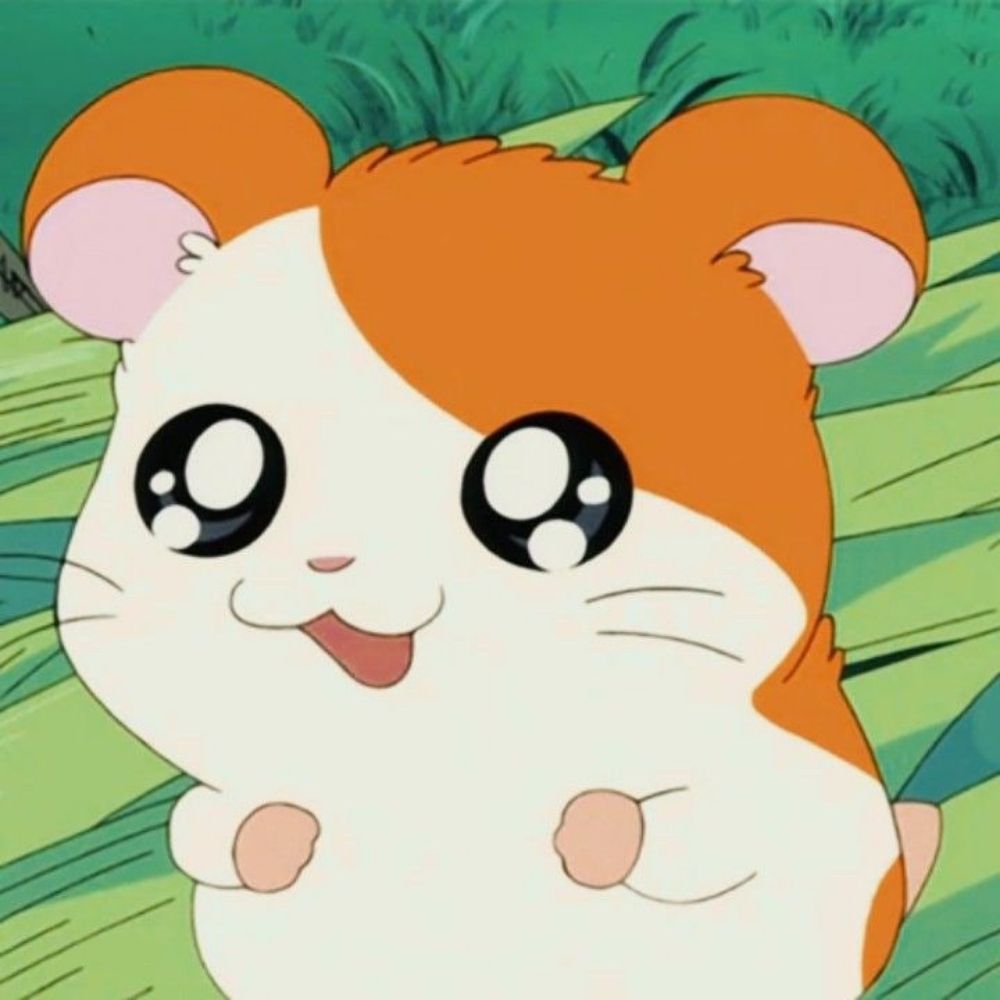 팥앙금