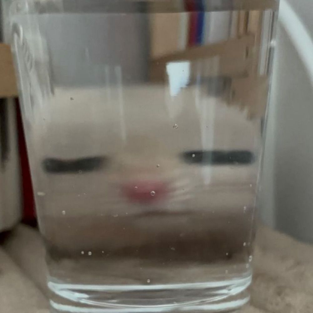 bini