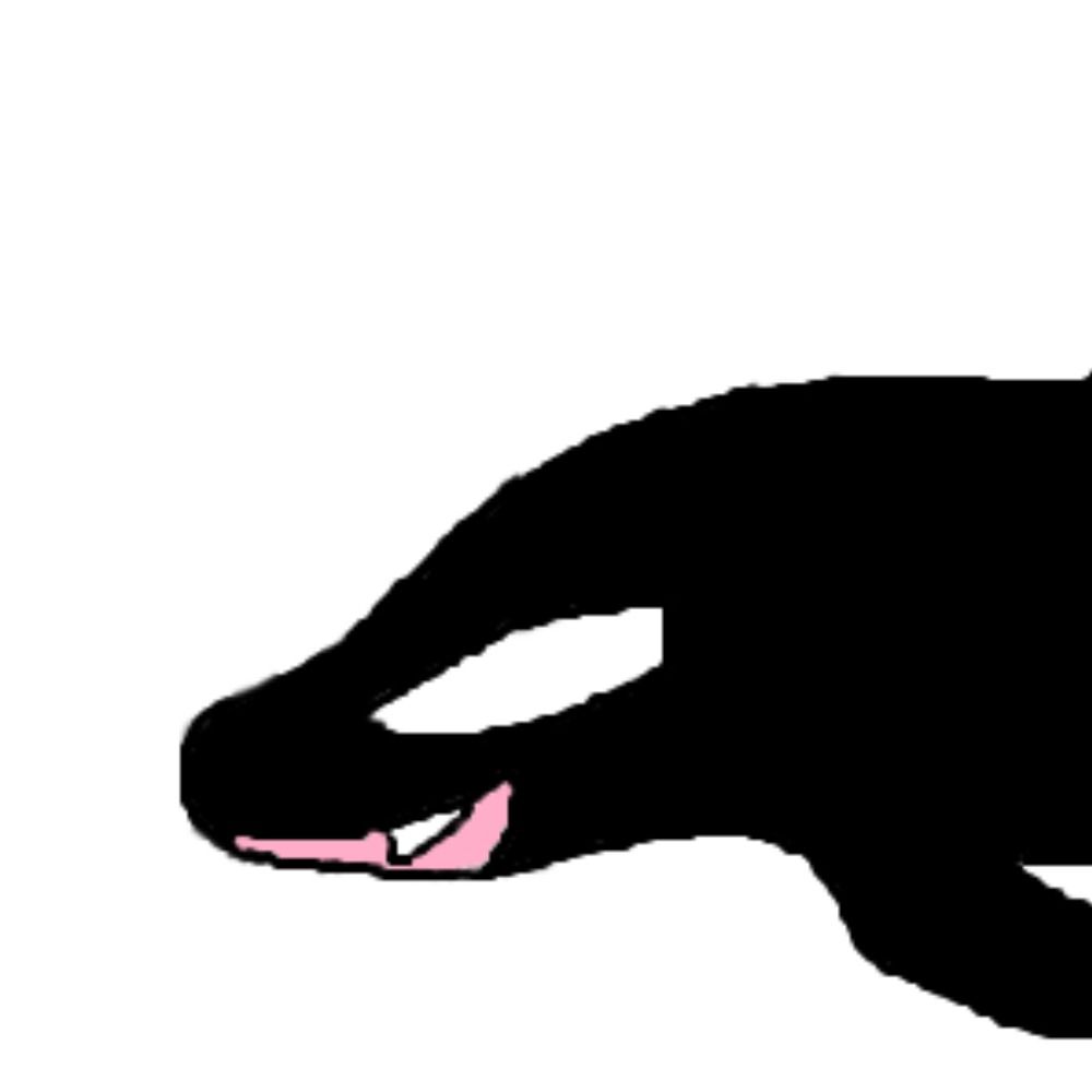 CCオルカ