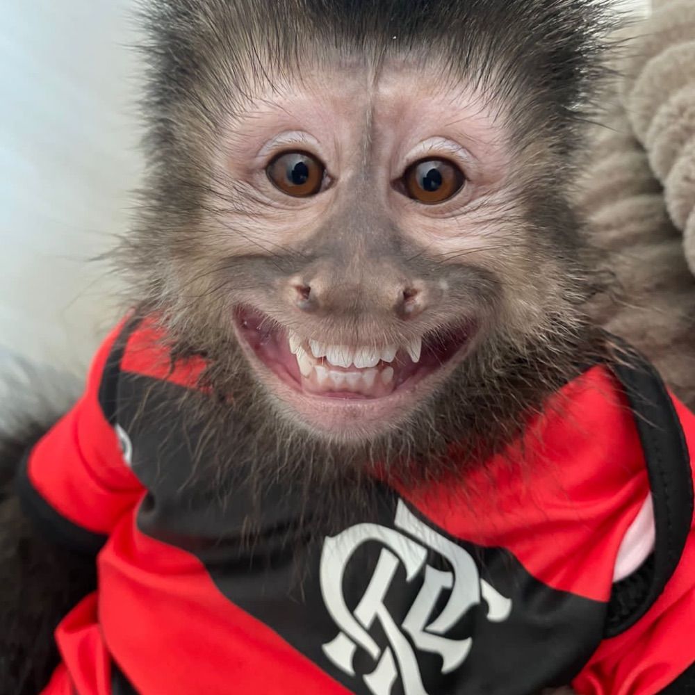 Lucas CRF