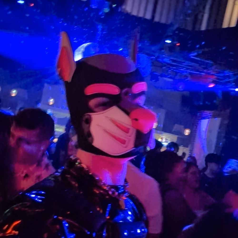 Pup Zee