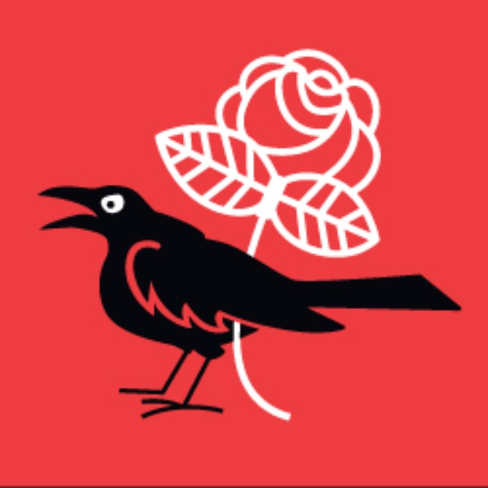 Houston DSA