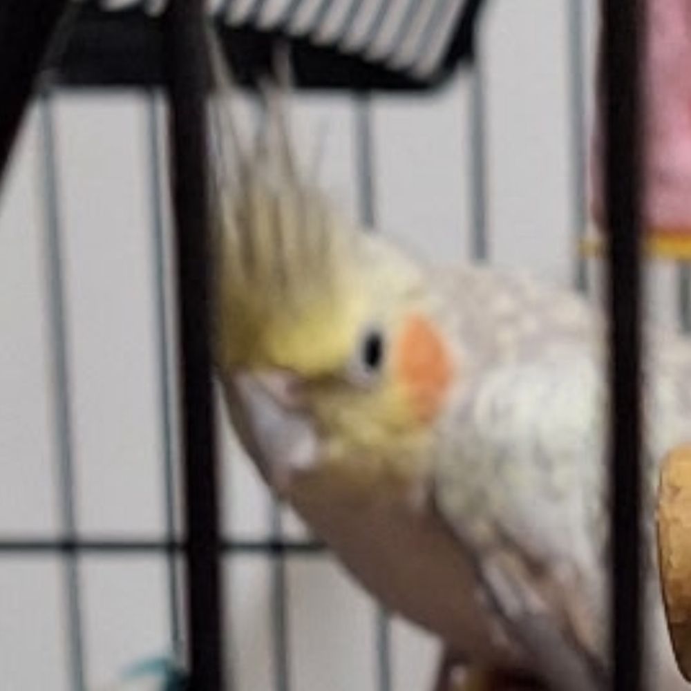 Marsala