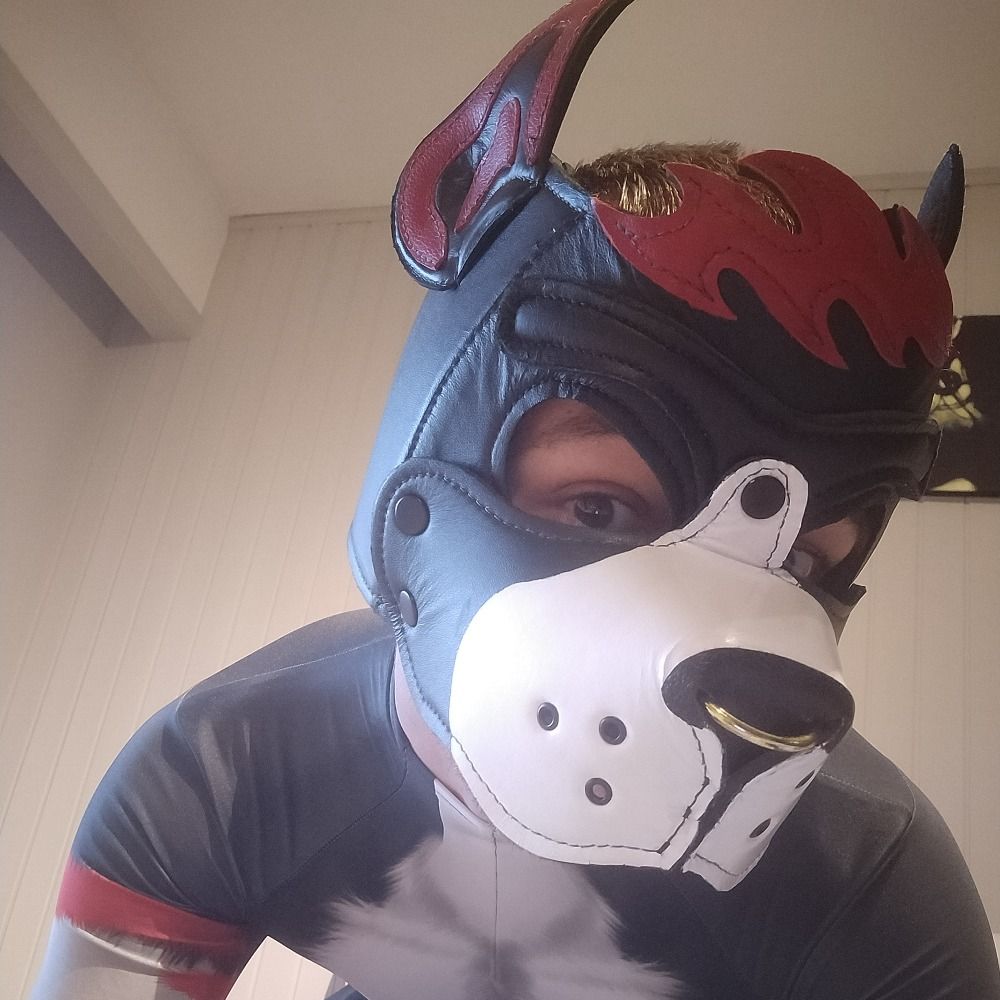 DarkZpup > 