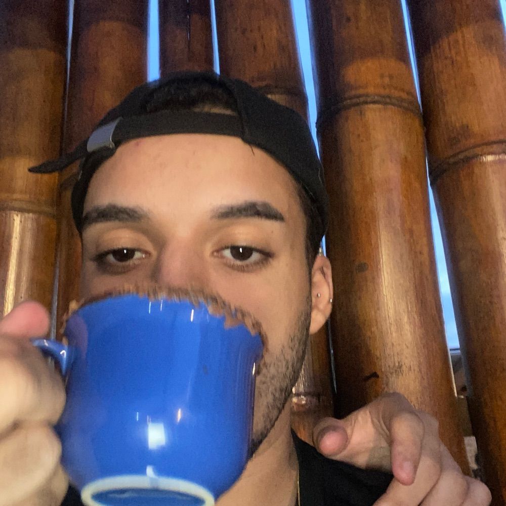 Gatinho lindo unteligente 