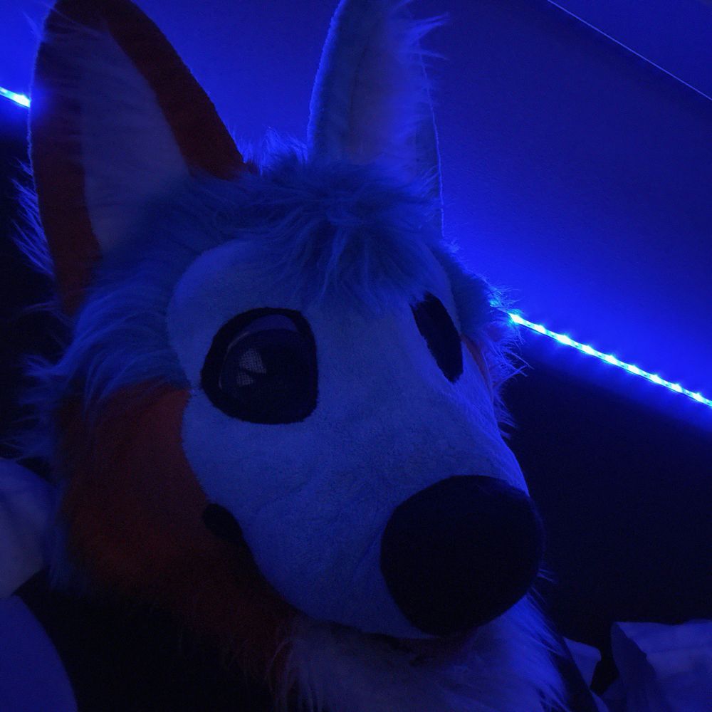 Husk Husky 🔜 ScotiaCon