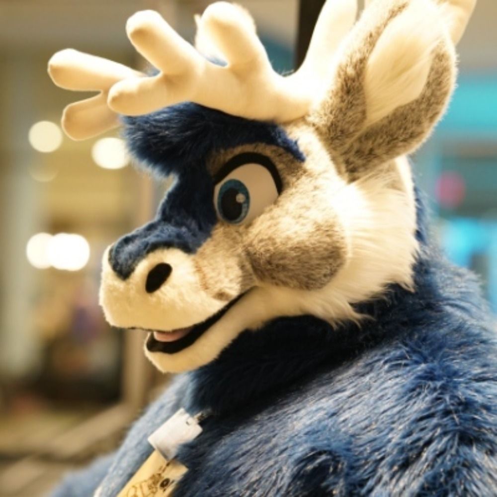 Noki Reindeer - TFF 2025