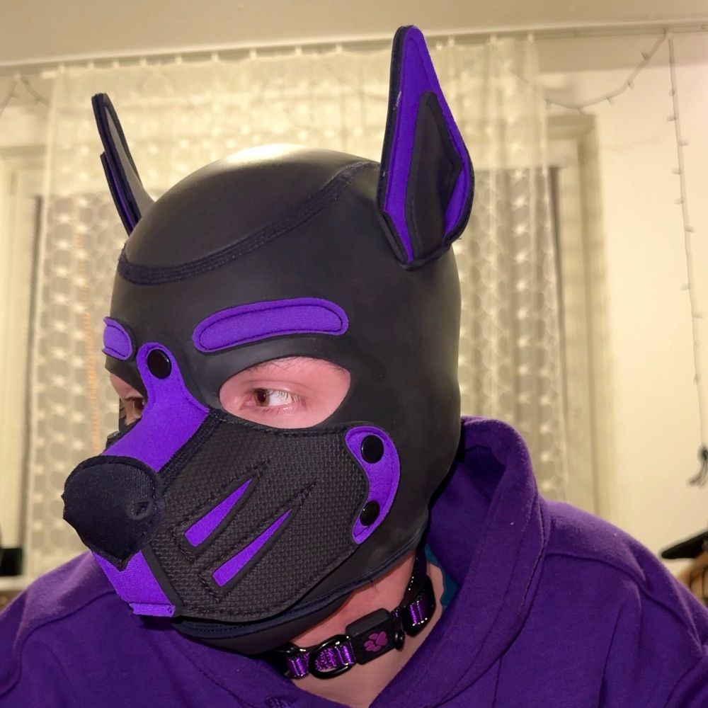 Sam🐕