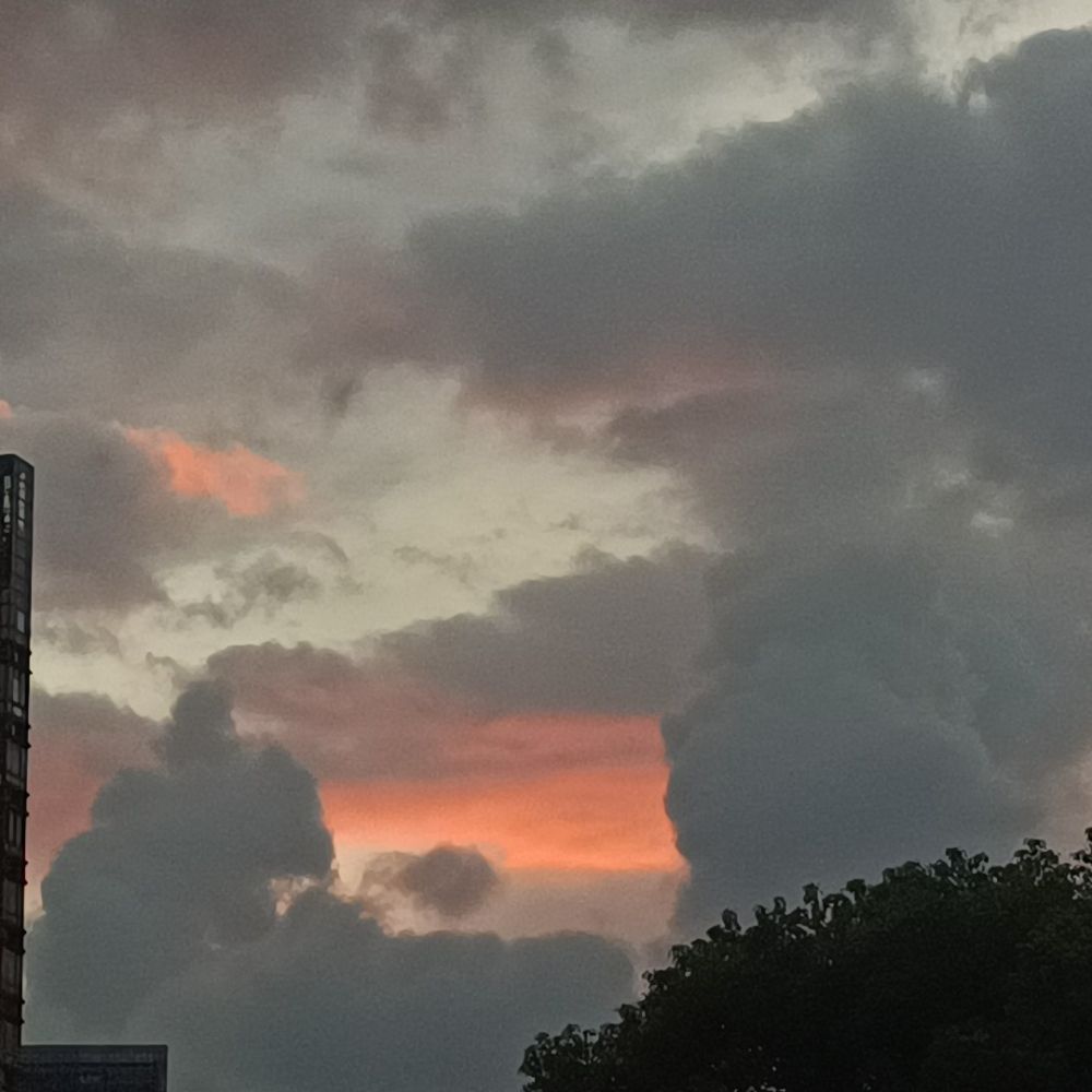 我真的很楠