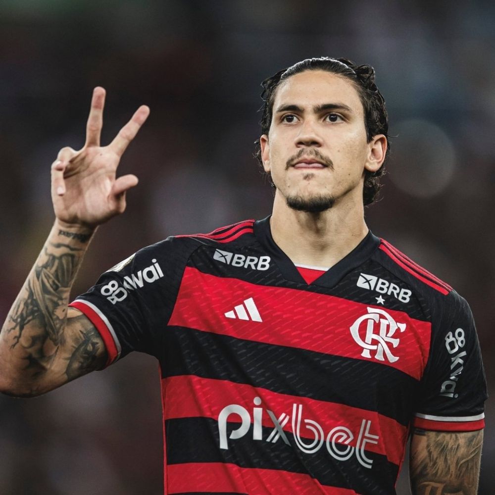 Pedro pica de ferro