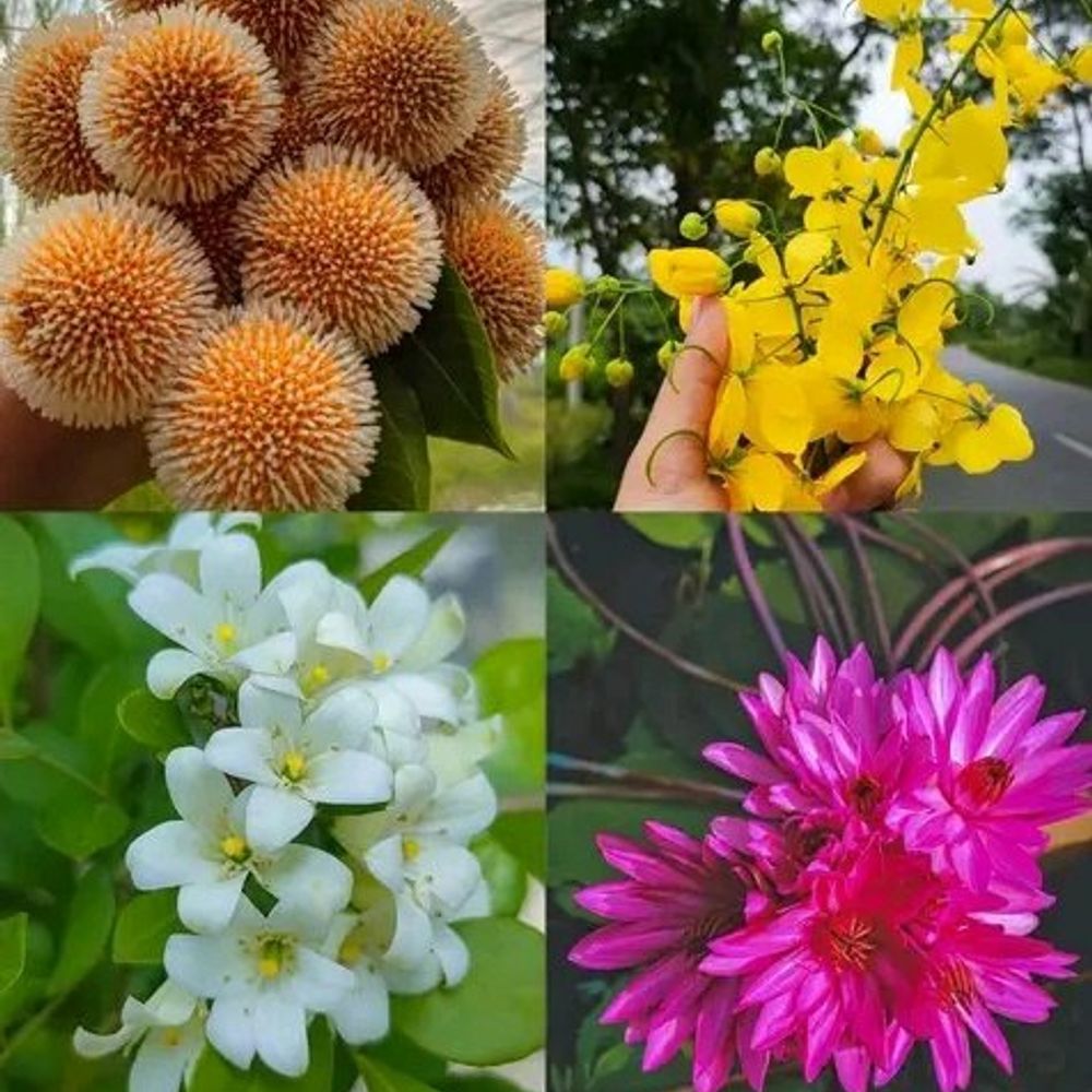 Natural.beauty