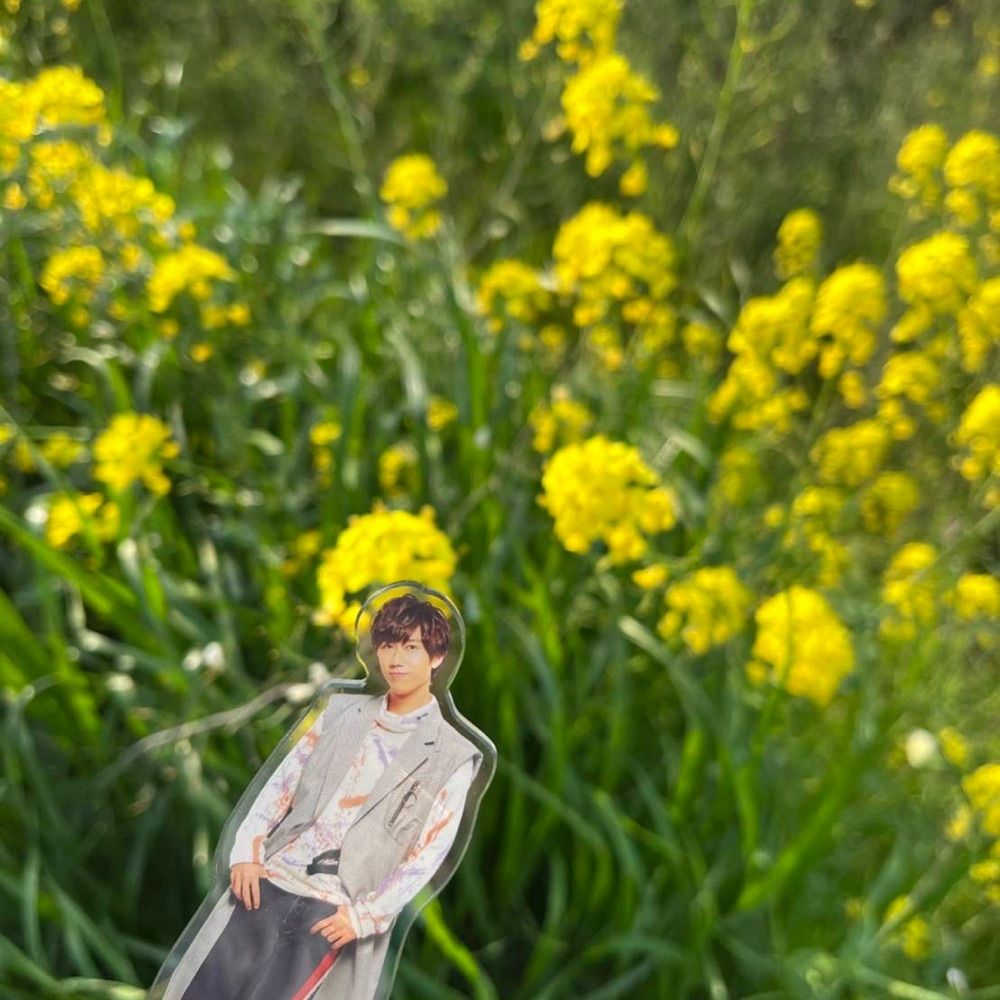 𝓜𝓪𝓴𝓲✩.*˚
